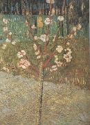 Vincent Van Gogh Almond Tree in Blossom (nn04) oil painting